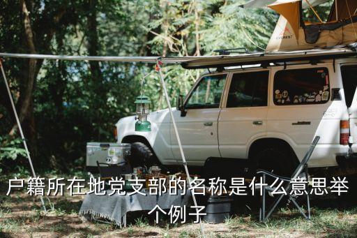 上海市陸家嘴街道基層黨建，戶籍所在地黨支部的名稱是什么意思舉個(gè)例子