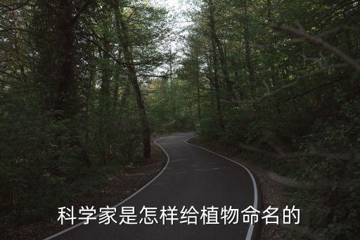 物種命名，科學家是怎樣給植物命名的