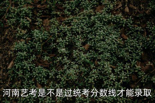 河南藝考是不是過統(tǒng)考分?jǐn)?shù)線才能錄取
