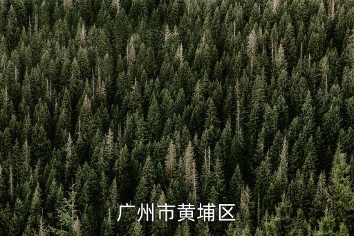廣州黃埔區(qū)聯(lián)和街永紅村，廣州市黃埔區(qū)
