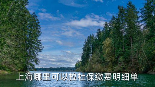 上海市拉社保單哪里可以，上海哪里可以拉社保繳費(fèi)明細(xì)單