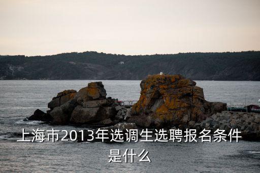 上海市的集中選調(diào)，2013年上海選調(diào)生報(bào)名時(shí)間報(bào)名條件等