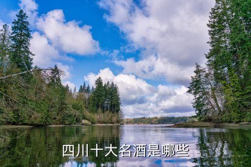 四川十大名酒是哪些