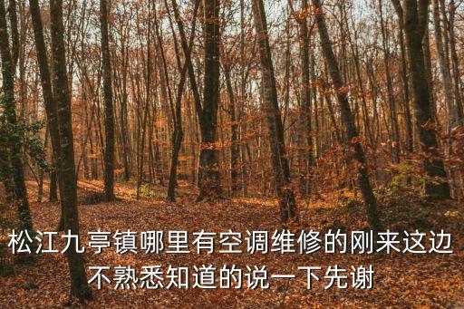 上海市松江九亭鎮(zhèn)拆裝空調(diào)，九亭空調(diào)移機