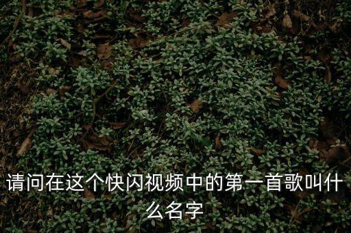 上海市民我和我的祖國(guó)快閃，上海的快閃是什么時(shí)候舉辦