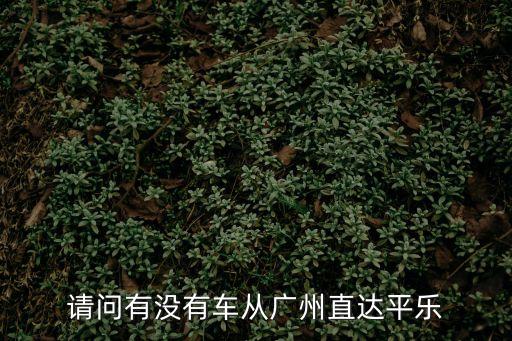 請問有沒有車從廣州直達平樂
