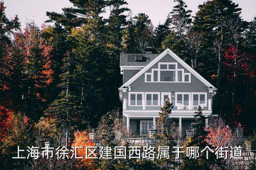建國西路233弄小區 上海市徐匯區，上海徐匯哪里有新交房的小區