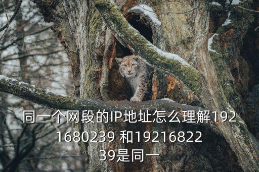 同一個網(wǎng)段的IP地址怎么理解1921680239 和1921682239是同一