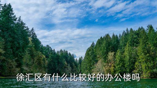 上海市徐匯區空的寫字樓，徐匯區有什么比較好的辦公樓嗎