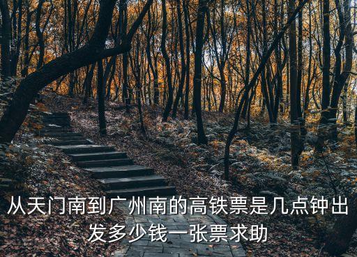 從天門南到廣州南的高鐵票是幾點鐘出發(fā)多少錢一張票求助