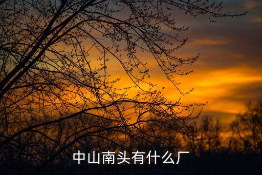 廣州中山南頭有哪些企業，中山南頭有什么廠