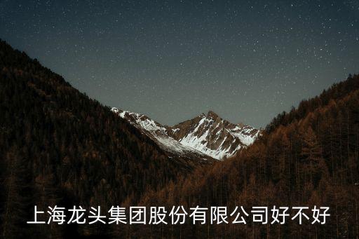 上海龍頭集團股份有限公司好不好