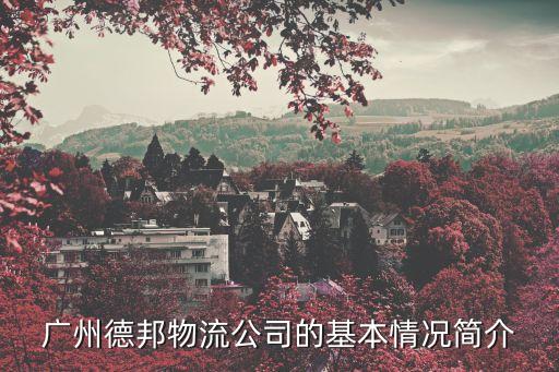 廣州德邦物流公司的基本情況簡介
