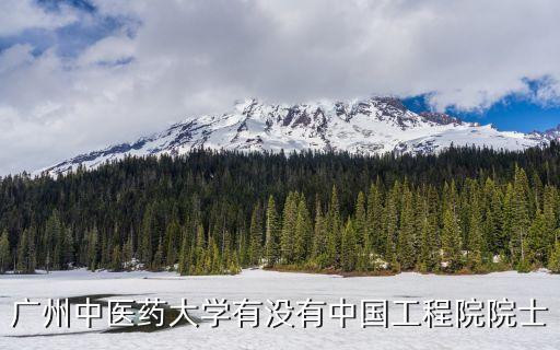 廣州醫(yī)藥大學(xué)院士，廣東醫(yī)學(xué)院有院士嗎