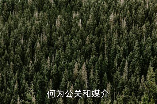 公關(guān)媒介，媒介和公關(guān)哪個(gè)發(fā)展好