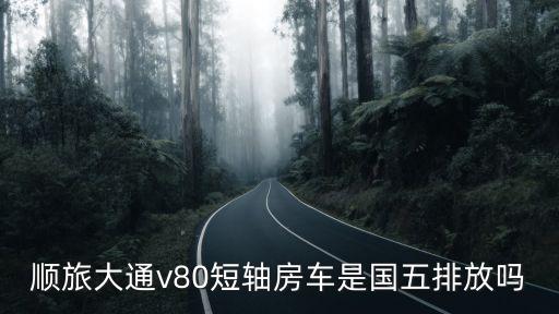 順旅大通v80短軸房車是國(guó)五排放嗎
