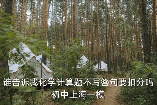 誰告訴我化學計算題不寫答句要扣分嗎初中上海一模