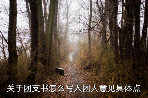 團支書意見，關于團支書怎么寫入團人意見具體點