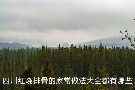 四川紅燒排骨的家常做法大全都有哪些