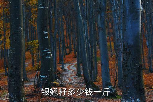 連翹種子，銀翹籽多少錢一斤