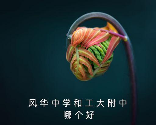 上海市風(fēng)華初級中學(xué)是區(qū)重點，風(fēng) 華 中 學(xué) 和 工 大 附 中 哪 個 好