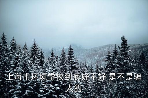 上海市環(huán)境學(xué)校到底好不好 是不是騙人的