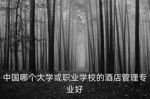 上海市商貿(mào)旅游學(xué)校 阮毅，有開涉外禮儀專業(yè)的高校