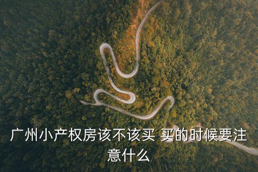 廣州小產(chǎn)權(quán)房該不該買(mǎi) 買(mǎi)的時(shí)候要注意什么