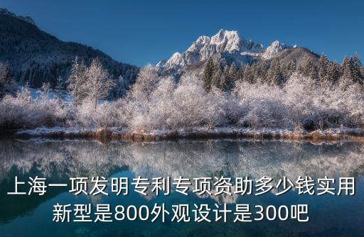 上海市龍頭企業(yè)資助多少錢，上海一項(xiàng)發(fā)明專利專項(xiàng)資助多少錢實(shí)用新型是800外觀設(shè)計(jì)是300吧