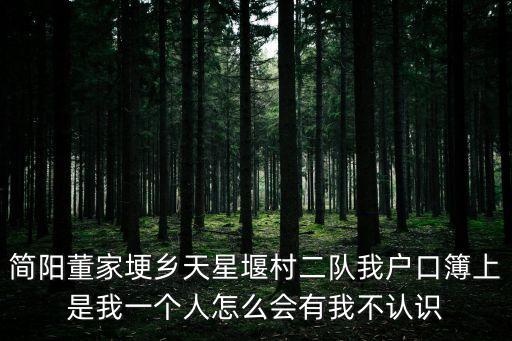 天星閣，我的尋仙等級已達到29級了我突然發現自己的名字下方顯示天星