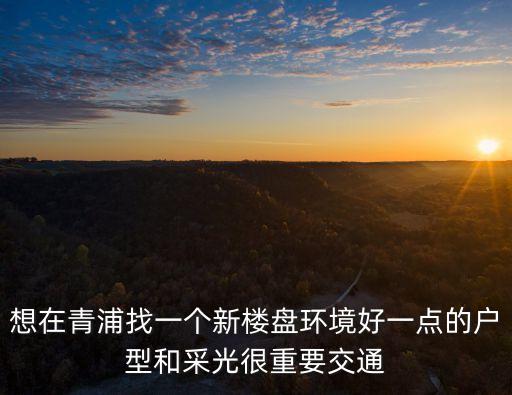 上海市青浦新盤，青浦靠大虹橋那邊有些什么樓盤呀最好是精裝的誰推薦一下呢