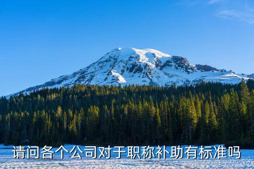 廣州物聯(lián)網(wǎng)職稱補貼，請問各個公司對于職稱補助有標準嗎