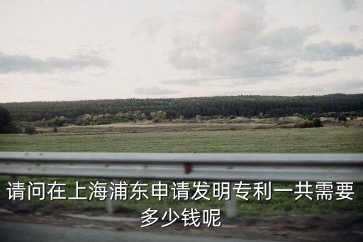 請問在上海浦東申請發(fā)明專利一共需要多少錢呢