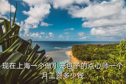上海市包子工招聘，現(xiàn)在上海一個(gè)做小籠包子的點(diǎn)心師一個(gè)月工資多少錢