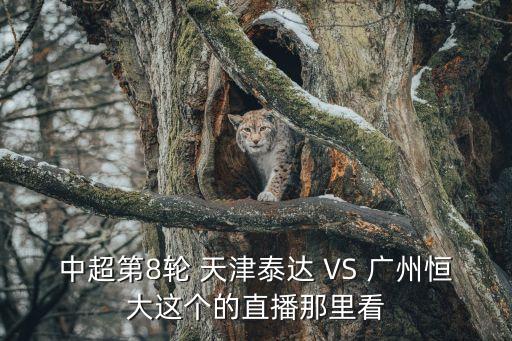 中超對廣州恒大直播，中超第8輪 天津泰達 VS 廣州恒大這個的直播那里看