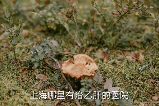上海市解放軍二病醫院，上海 的 解放軍 第二醫院 好不好
