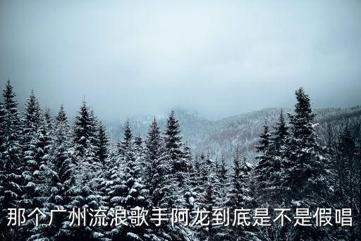 廣州流浪歌手阿龍聯唱47分鐘，那個廣州流浪歌手阿龍到底是不是假唱