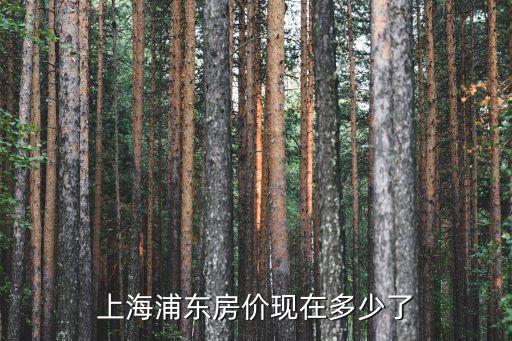上海市浦東臨沂六村房價，上海浦東新區房價