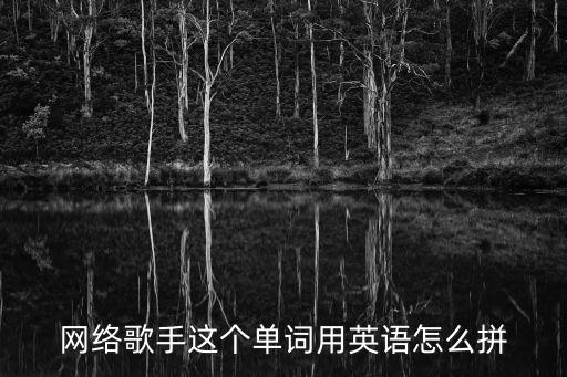 歌手的英語，網(wǎng)絡(luò)歌手這個(gè)單詞用英語怎么拼