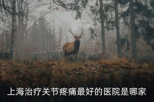 上海市手子關節痛醫院，上海看手指關節哪家好