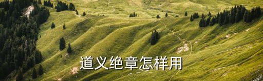 上海市道義會會員章圖片，道義絕章怎樣用
