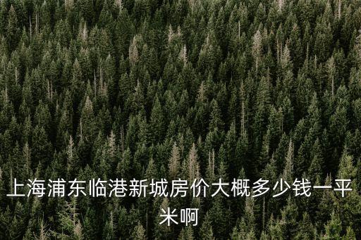 上海市臨港新港房價，臨港新城老蘆公路江山路樓盤現在新房房價是多少錢一個平方