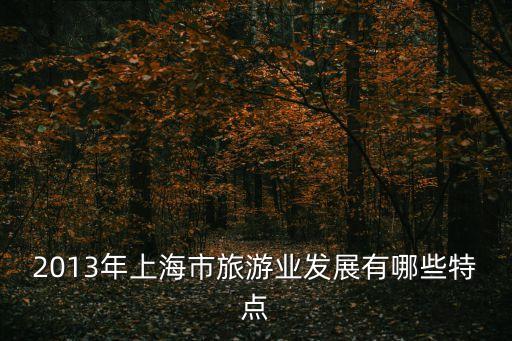 上海市旅游公共服務的發(fā)展，2013年上海市旅游業(yè)發(fā)展有哪些特點