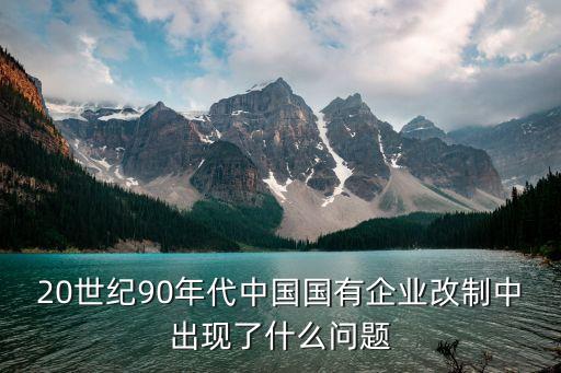 20世紀90年代中國國有企業改制中出現了什么問題