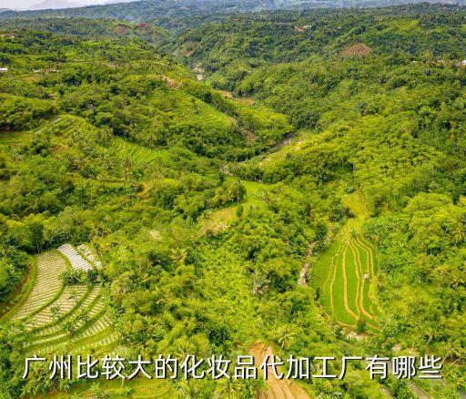 廣州粉餅眼影化妝品流水線普工，在廣州工廠做普工有多少錢一個月 生產線的線長組長 或部長一般有