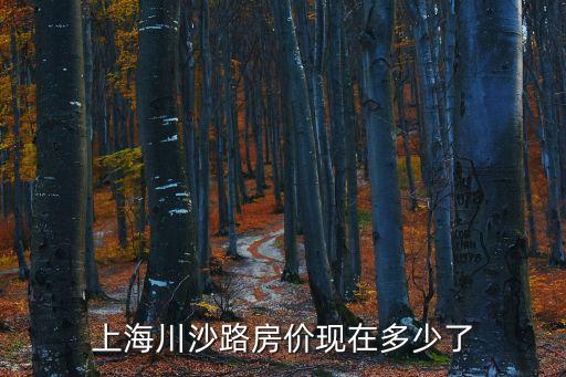 上海市川沙房子價格，上海市浦東新區川沙鎮的房價是
