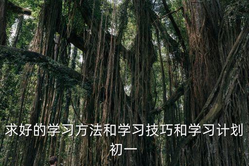 求好的學習方法和學習技巧和學習計劃初一