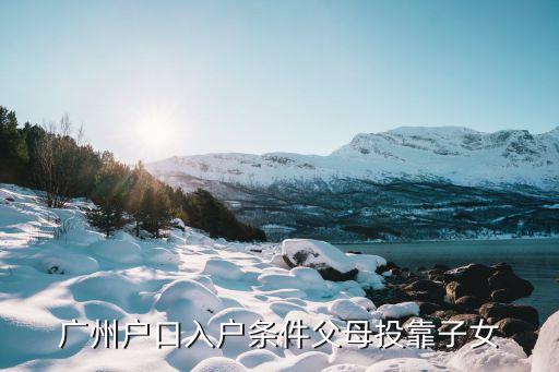 外省老人投靠子女落戶廣州，外地老人投靠廣州子女