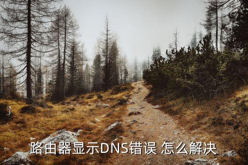 路由器dns異常，路由器顯示DNS錯誤 怎么解決
