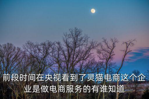前段時間在央視看到了靈貓電商這個企業(yè)是做電商服務的有誰知道